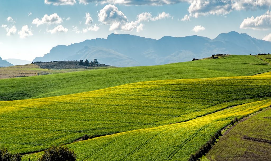 The Future of Farming: A Look at the Transition to Organic Agriculture