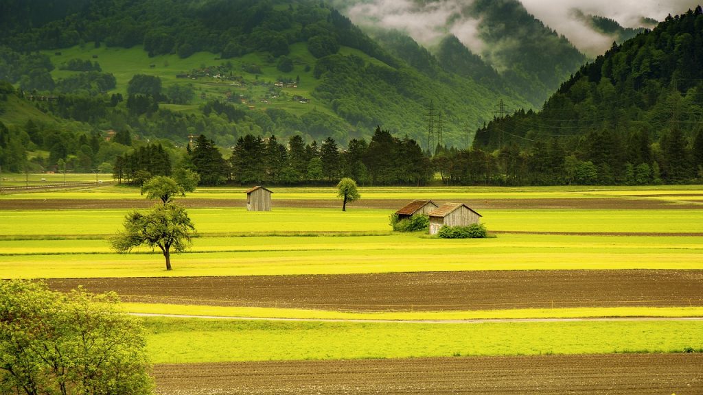 From Conventional to Organic: The Journey of a Farmer