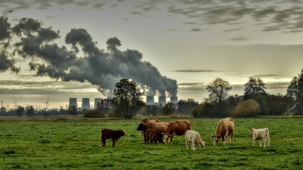 The Unforeseen Consequences of Climate Change on Agriculture: A Look at the Risks and Potential Solutions